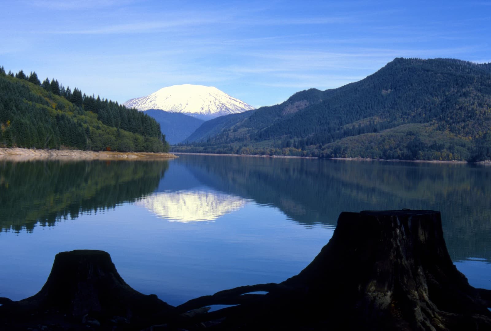 Junk removal in Cowlitz County, WA by Brisk Junk Removal