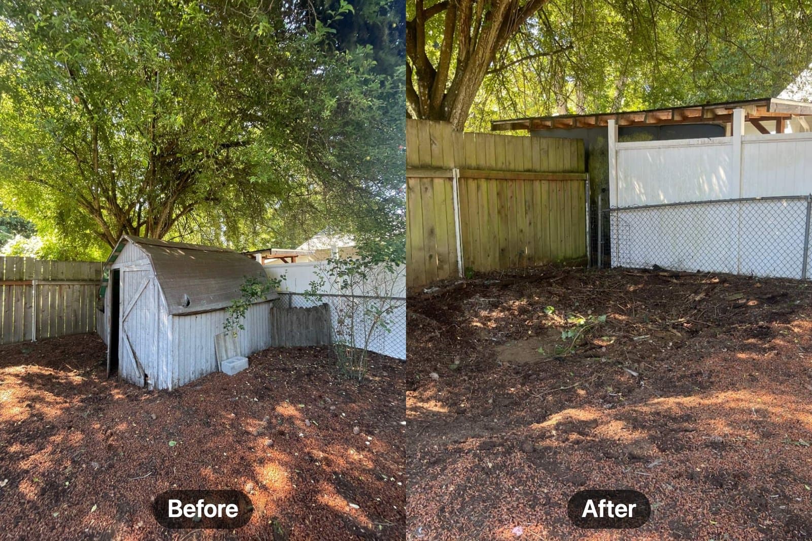 Before and after: an old backyard shed demolished, hauled away, and the ground left clear