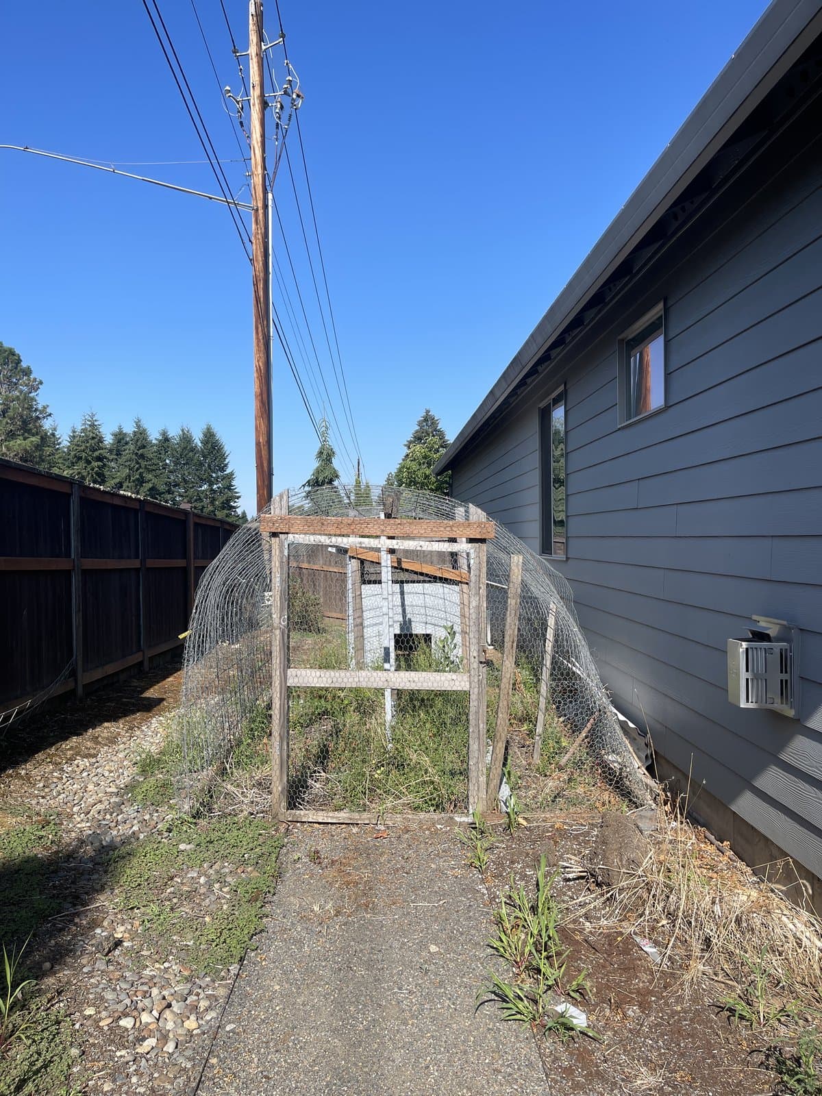 Side yard crowded by an old chicken coop enclosure before demolition