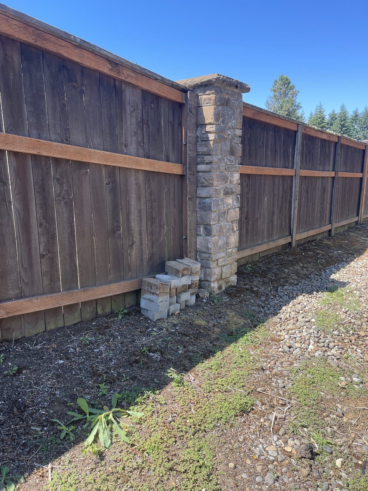 Brush Clearing by Brisk Junk Removal