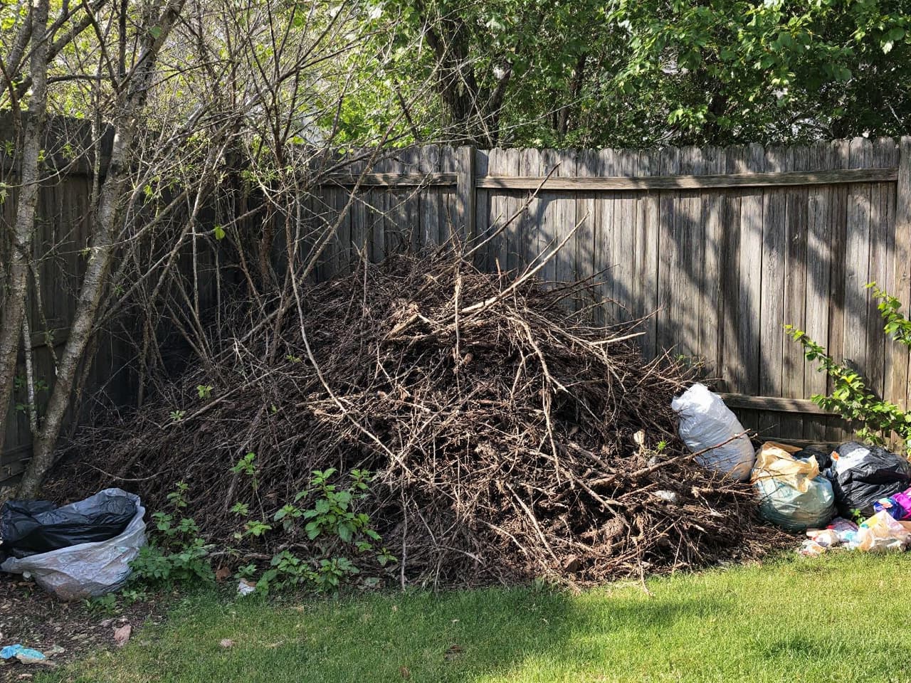 Yard Debris & Brush Removal by Brisk Junk Removal